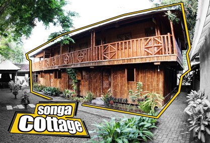 songa-cottage-0